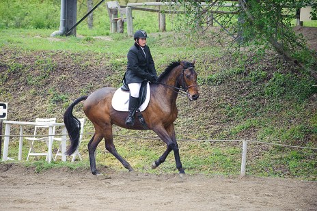 130505130505_DC44267