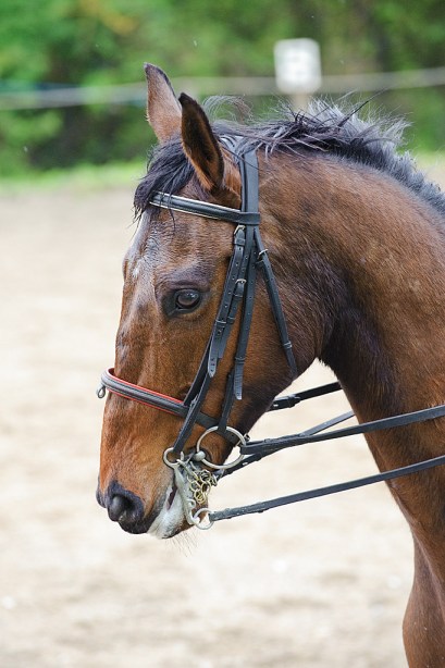 130505130505_DC44333