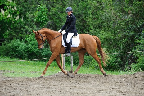 130505130505_DC44399