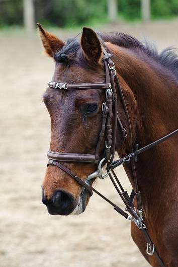 130505130505_DC44442