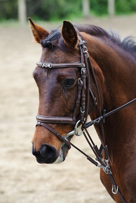 130505130505_DC44442