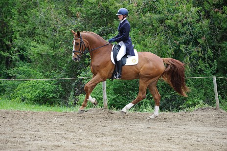 130505130505_DC44465