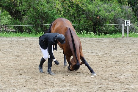 130505130505_DC44692