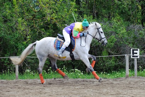 130505130505_DC44756