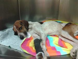 1473050_717547048256087_960574876_n