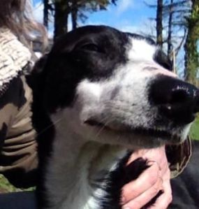 10014671_10151920046422890_940169788_n