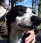 10014671_10151920046422890_940169788_n