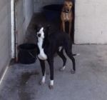 1621841_10151920046542890_2008309242_n