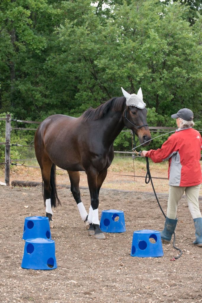 Aero is pretty good at this but we went for the 10 point option where I'm allowed to follow him.  For 15 points, I'd have had to stay behind the pole while he zig-zagged all by himself.