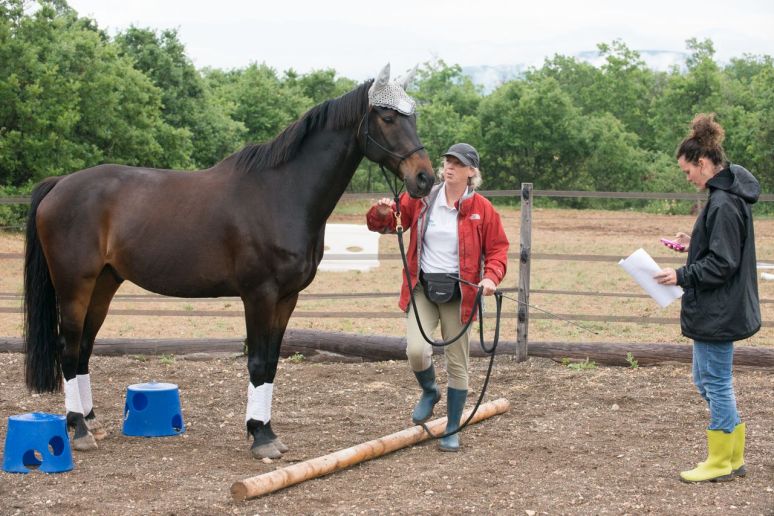 Reverse slalom.  Stand still at the pole...