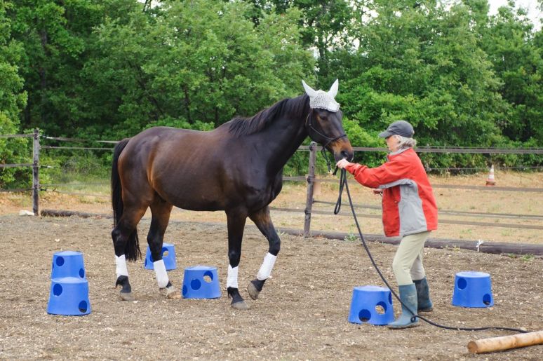 ...and then reverse your way through a zig-zag