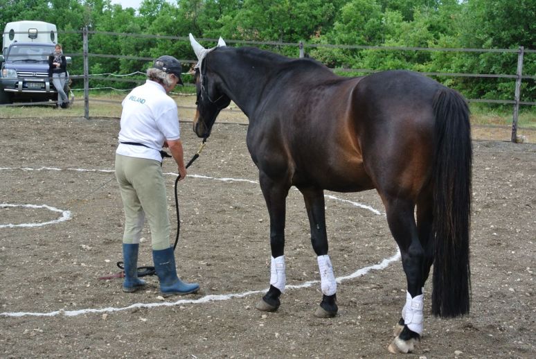 ...for 15 points, I would have had to stay within the first circle and for 20 points, I'd have had to stay within the second circle