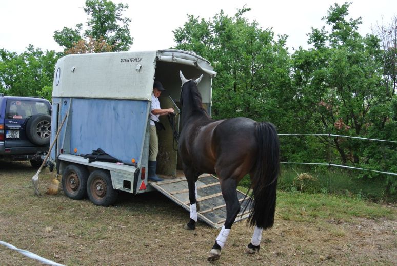 The trailer.  Aero having a minor blip...