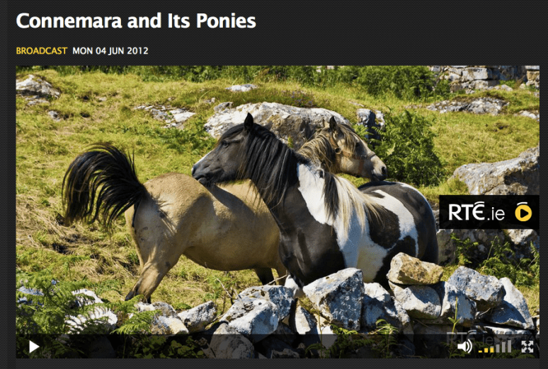 Click to visit the RTE player