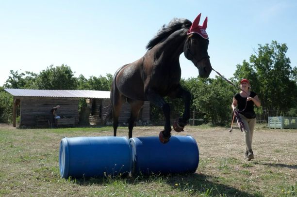 Whee! Aero warming up over a jump.