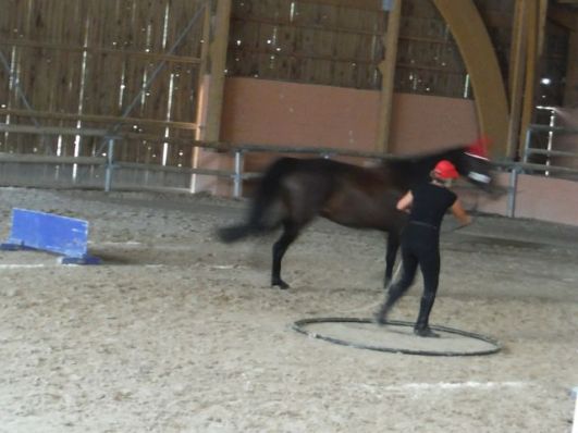 Le saute a longe - jump, turn, jump.