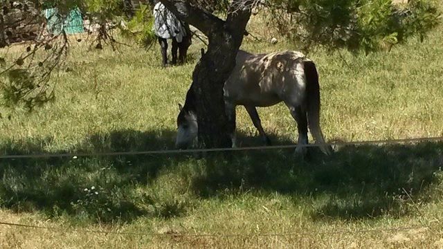 11793229_10206244255638122_531535511_n