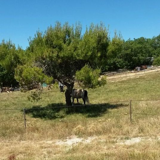 11793306_10206244256198136_166673464_n