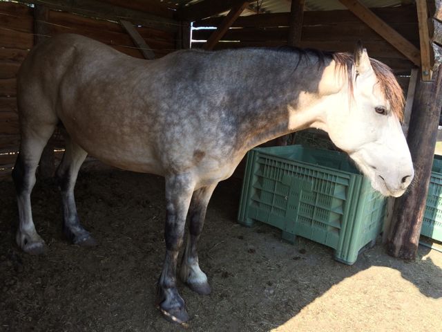 6FC972DB46FDB77B36404890D17C344C52D01E5E943A0E9CD7pimgpsh_fullsize_distr