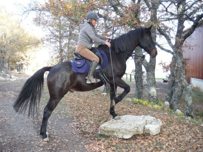 Looking for jambette on the pedestal