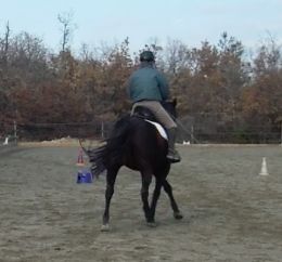 Screen Shot 2016-02-29 at 17.18.52