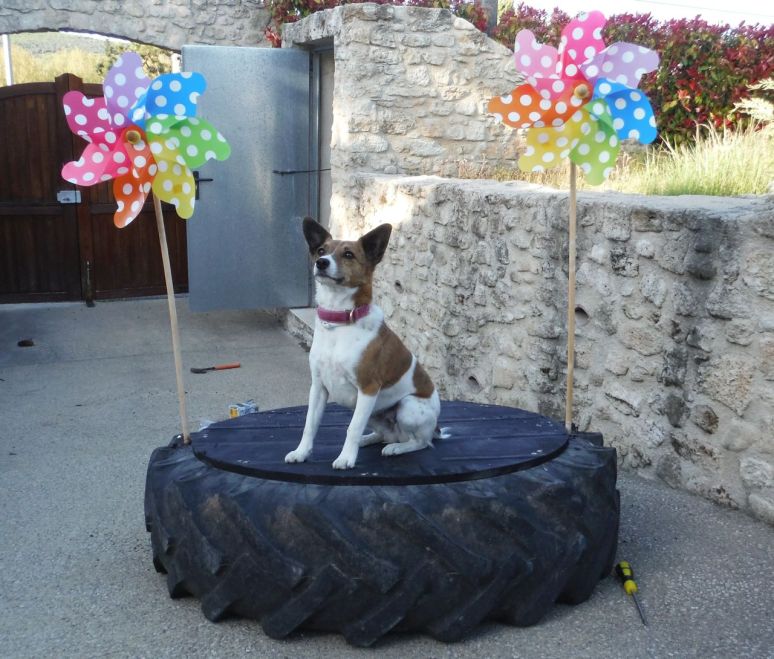Pedestal 1.0 as modelled by Cookie