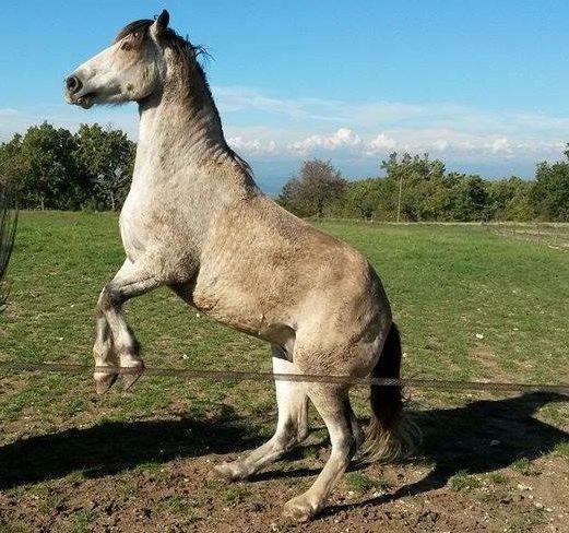 12178991_10206861968960569_345117560_n