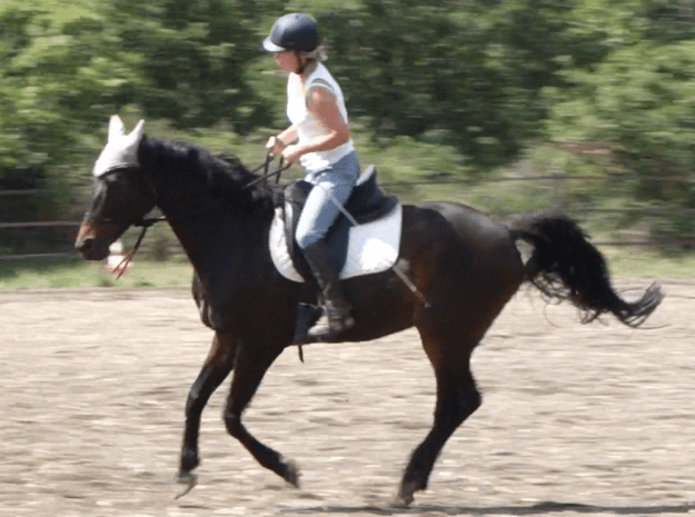 Screen Shot 2016-08-10 at 14.29.34