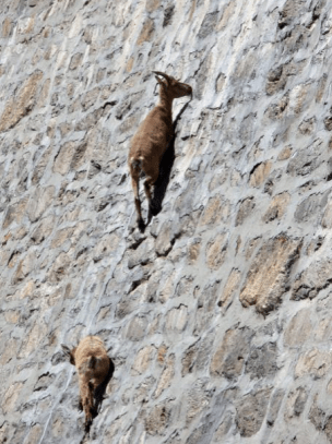 screen-shot-2016-10-07-at-14-54-33