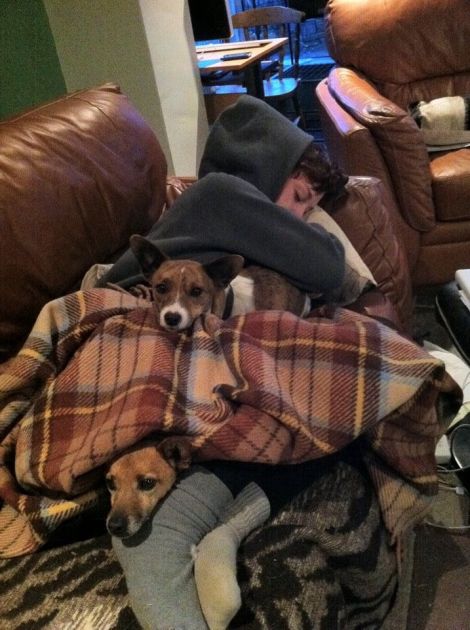 386515_10150405741052890_339458488_n