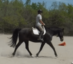 Screen Shot 2018-04-25 at&nbsp;08.58.00